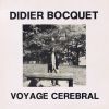 Voyage Cerebral